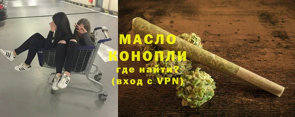 сатива Аркадак