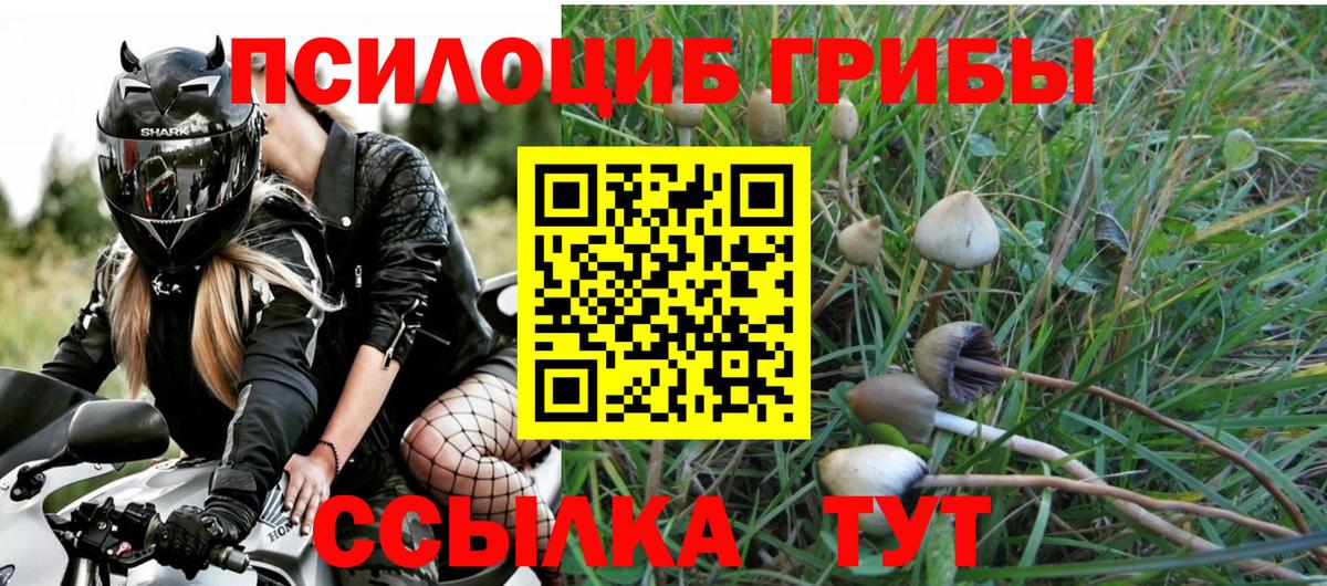 Галлюциногенные грибы мухоморы  где купить наркотик  Светлоград  Вход с VPN 